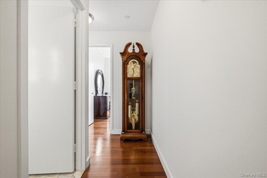 Sophisticated Corner Condo with Stunning Southern & Eastern - photo 25