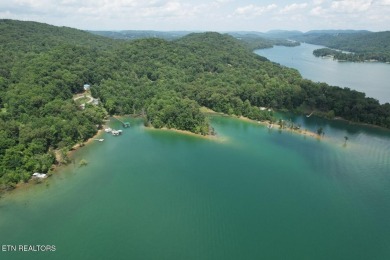 Lake Home For Sale in Sharps Chapel, Tennessee