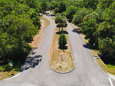 Land development opportunity in a growing area near Eastern - photo 8