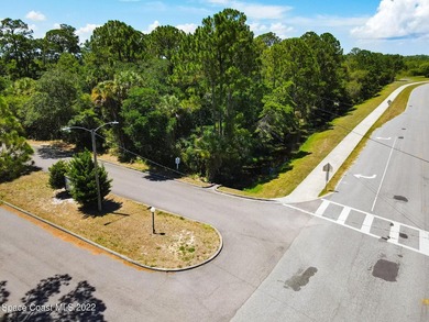 Land development opportunity in a growing area near Eastern - photo 10
