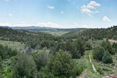 (private lake, pond, creek) Lot For Sale in Durango Colorado