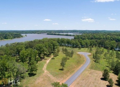 Lake Lot For Sale in Buckhead, Georgia