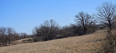 (private lake, pond, coastal) Acreage For Sale in Stockton Missouri