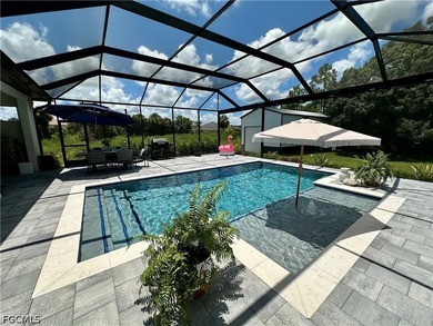 A Modern Oasis with the Ultimate Workshop in Lehigh Acres - photo 21
