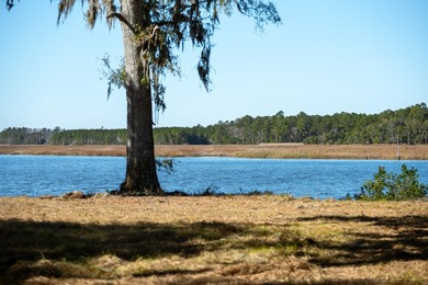 Historic Mauricena Plantation Lot number 7 - Georgetown - photo 1