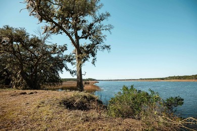 Historic Mauricena Plantation Lot number 7 - Georgetown - photo 2