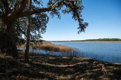Historic Mauricena Plantation Lot number 7 - Georgetown - photo 3