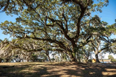 Historic Mauricena Plantation Lot number 7 - Georgetown - photo 5