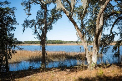Historic Mauricena Plantation Lot number 7 - Georgetown - photo 6