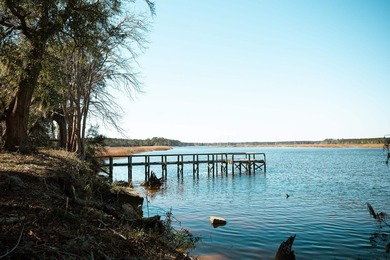 Historic Mauricena Plantation Lot number 7 - Georgetown - photo 7