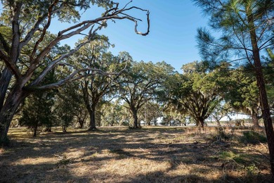 Historic Mauricena Plantation Lot number 7 - Georgetown - photo 9