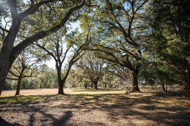Historic Mauricena Plantation Lot number 7 - Georgetown - photo 10
