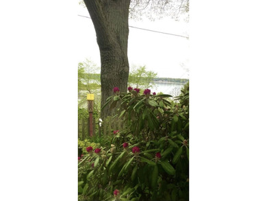 Rare opportunity to own a home with beautiful views of White - photo 50
