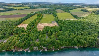 Lake Acreage For Sale in Niles, New York