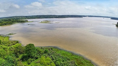 Your Dream Property Awaits - 33 Acres on Toledo Bend Imagine - photo 7