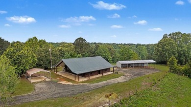 Your Dream Property Awaits - 33 Acres on Toledo Bend Imagine - photo 8