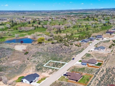 Totten Lake Lot For Sale in Cortez Colorado