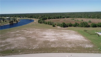 Lake Acreage For Sale in Sebring, Florida