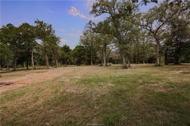 Somerville Lake Lot For Sale in Somerville Texas