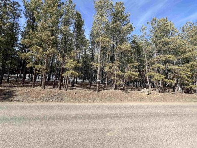 Lake Lot For Sale in Angel Fire, New Mexico