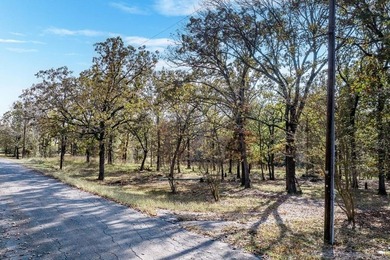 Two great level, buildable waterfront lots in Point La Vista - photo 6