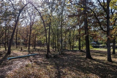 Two great level, buildable waterfront lots in Point La Vista - photo 7