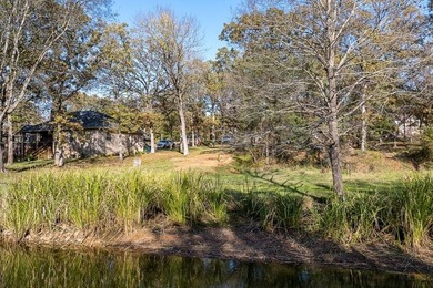 Two great level, buildable waterfront lots in Point La Vista - photo 10