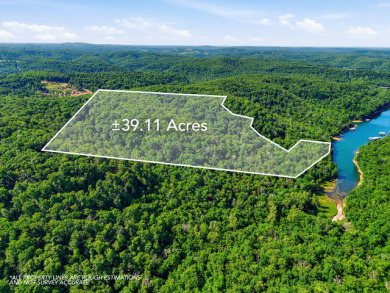 Lakefront Privacy on 40 acres , Custom 3866 sf home w 2 boat slip - photo 3