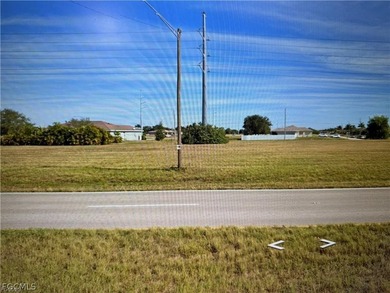 Great comercial lot located between Burnt Store Rd and El Dorado - photo 3