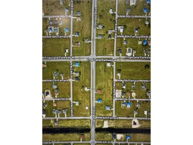 Great comercial lot located between Burnt Store Rd and El Dorado - photo 4
