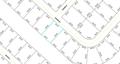 Located on a fresh water canal in Lehigh Woods in an area of - photo 4