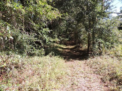 7.77 contiguous acres in 4 tracts with several hundred feet of - photo 5