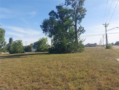 Situated On the NE corner of Chiquita and 15th Ter., right - photo 6