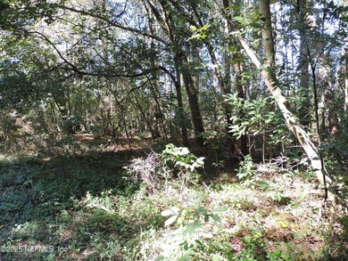 7.77 contiguous acres in 4 tracts with several hundred feet of - photo 8
