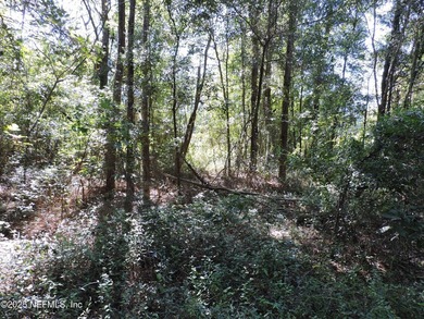 7.77 contiguous acres in 4 tracts with several hundred feet of - photo 9