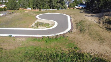 Welcome to THE LAKES, a brand-new gated community offering 15 - photo 9
