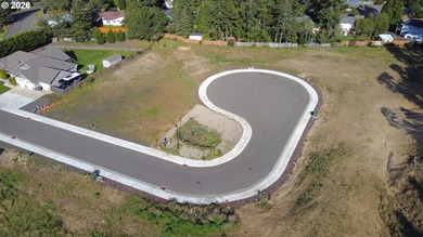 Welcome to THE LAKES, a brand-new gated community offering 15 - photo 10