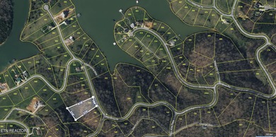 Lot 541 Sunset Bay - 1.54 Acres Panoramic views of Norris Lake - photo 4