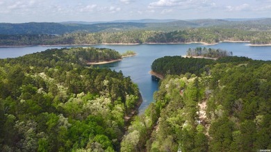 A true legacy tract on Lake Ouachita-and one that hasn't been - photo 1