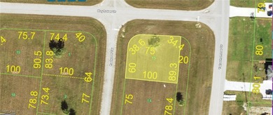 Rotunda Meadows Lakes  Lot For Sale in Placida Florida