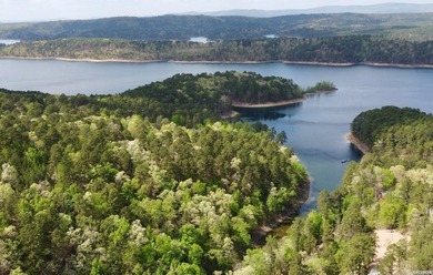 A true legacy tract on Lake Ouachita-and one that hasn't been - photo 6