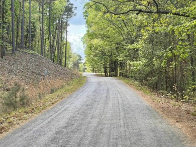 A true legacy tract on Lake Ouachita-and one that hasn't been - photo 8
