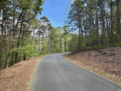 A true legacy tract on Lake Ouachita-and one that hasn't been - photo 9