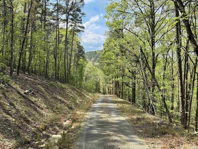 A true legacy tract on Lake Ouachita-and one that hasn't been - photo 10
