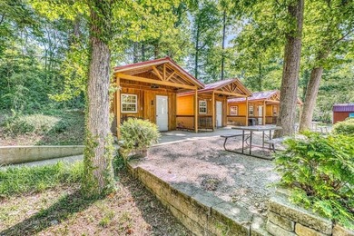 This rare Spring River property near Mammoth Spring offers - photo 36
