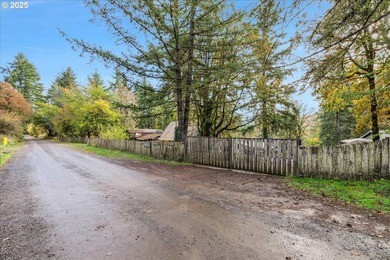 This 3 bedroom 2 bathroom 2,307 sqft home sits on a 1.56-acre - photo 37