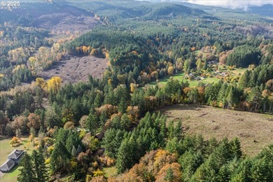This 3 bedroom 2 bathroom 2,307 sqft home sits on a 1.56-acre - photo 38