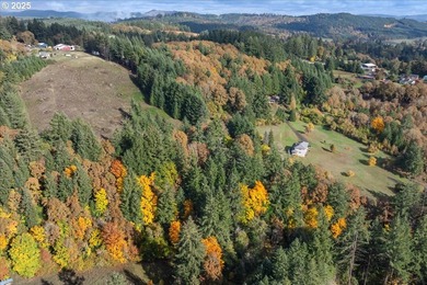 This 3 bedroom 2 bathroom 2,307 sqft home sits on a 1.56-acre - photo 39
