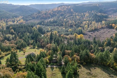 This 3 bedroom 2 bathroom 2,307 sqft home sits on a 1.56-acre - photo 40
