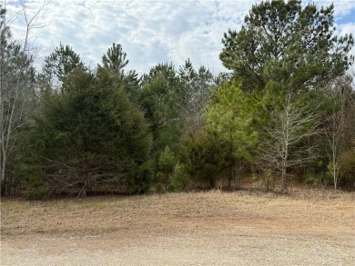 Lake Lot For Sale in Martin, Georgia